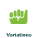  Variations 