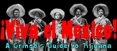 Viva El Mexico! A Gringo's Guide to Tijuana