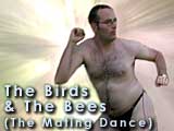 The Mating Dance