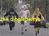 THE DINGLEBERRYS!