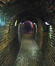 Simulated Sewer