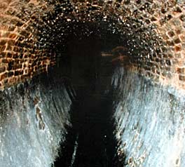 Brussels Sewer (le egout)